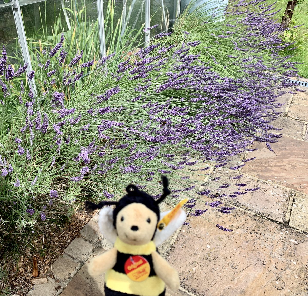 Jeremy ʕ•ᴥ•ʔ tweet media