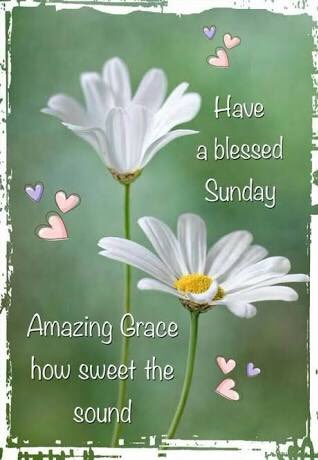 LazofLucia's tweet photo. @ferrarisergio4 Good Morning Sergio!🌺 https://t.co/cZ7JtSQhT2