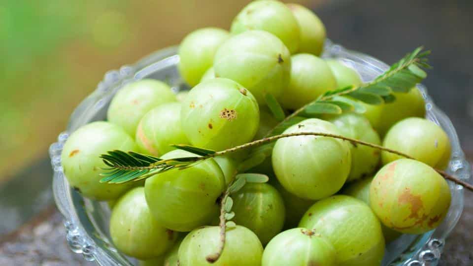 weightlossasset's tweet photo. The real superfood: Amla, an essential ingredient to stay healthy during monsoons - Hindustan Times https://t.co/ZvhPZbWScl https://t.co/6cWx6TgZZr