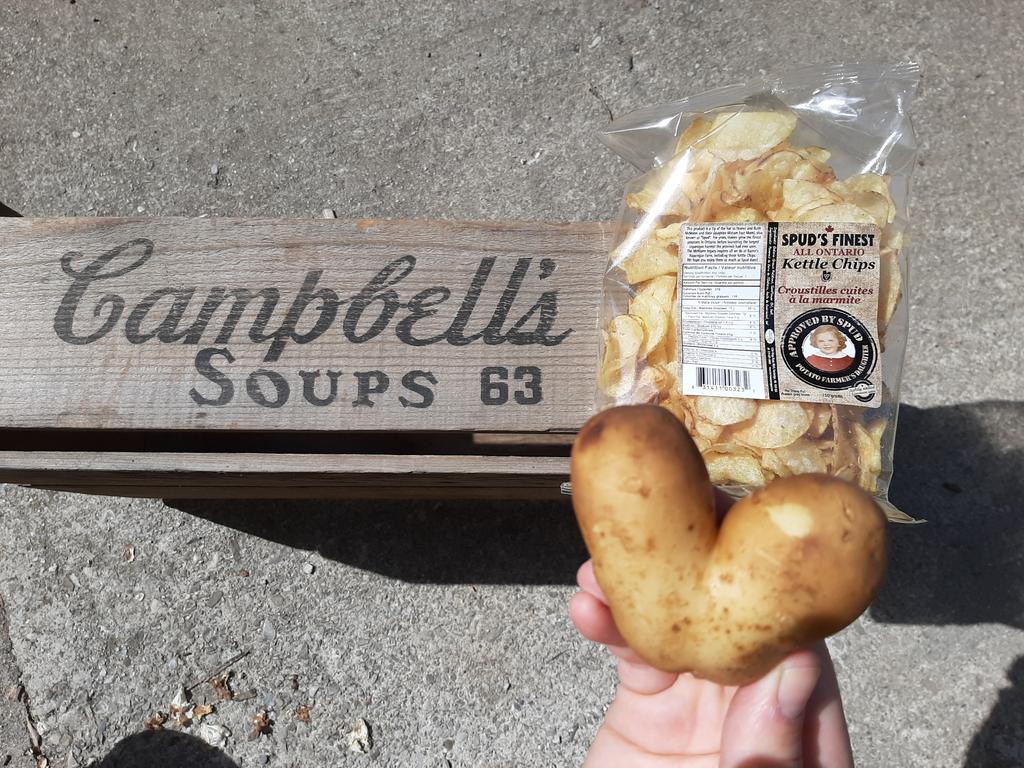 Barrie's Asparagus (@4loveofaspargus) on Twitter photo We love fresh dug taters and also love that our <a href="/SpudsFinest/">Spud's Finest</a> are made with only Ontario potatoes <a href="/FoodlandOnt/">Foodland Ontario</a> We love fresh dug taters and also love that our <a href="/SpudsFinest/">Spud's Finest</a> are made with only Ontario potatoes <a href="/FoodlandOnt/">Foodland Ontario</a>