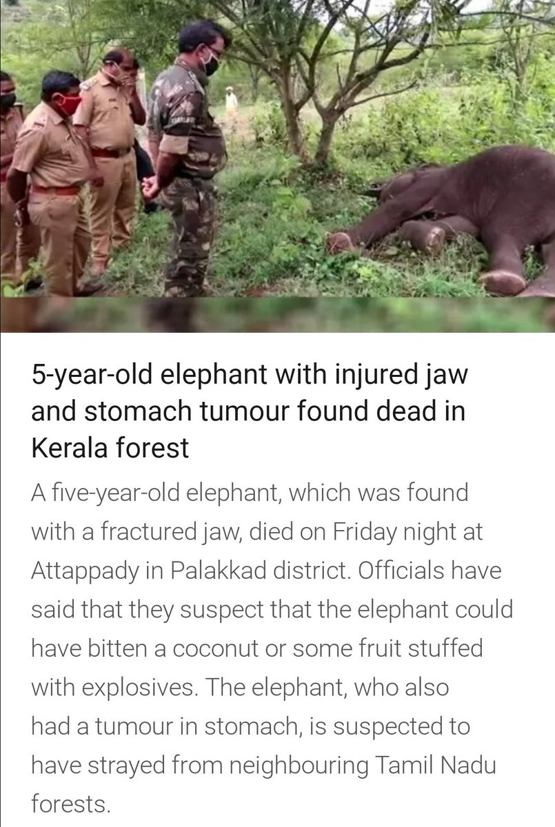 #elephantkerala #elephantlivesmatter
Where is humanity gone? https://t.co/PCfGjq09Vu