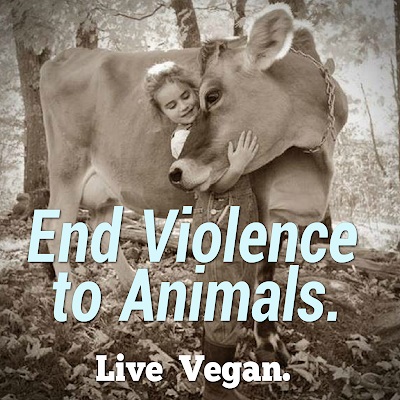 GlobalVegans's tweet image. Vegan Meme #Vegan #VeganMeme #GoVegan