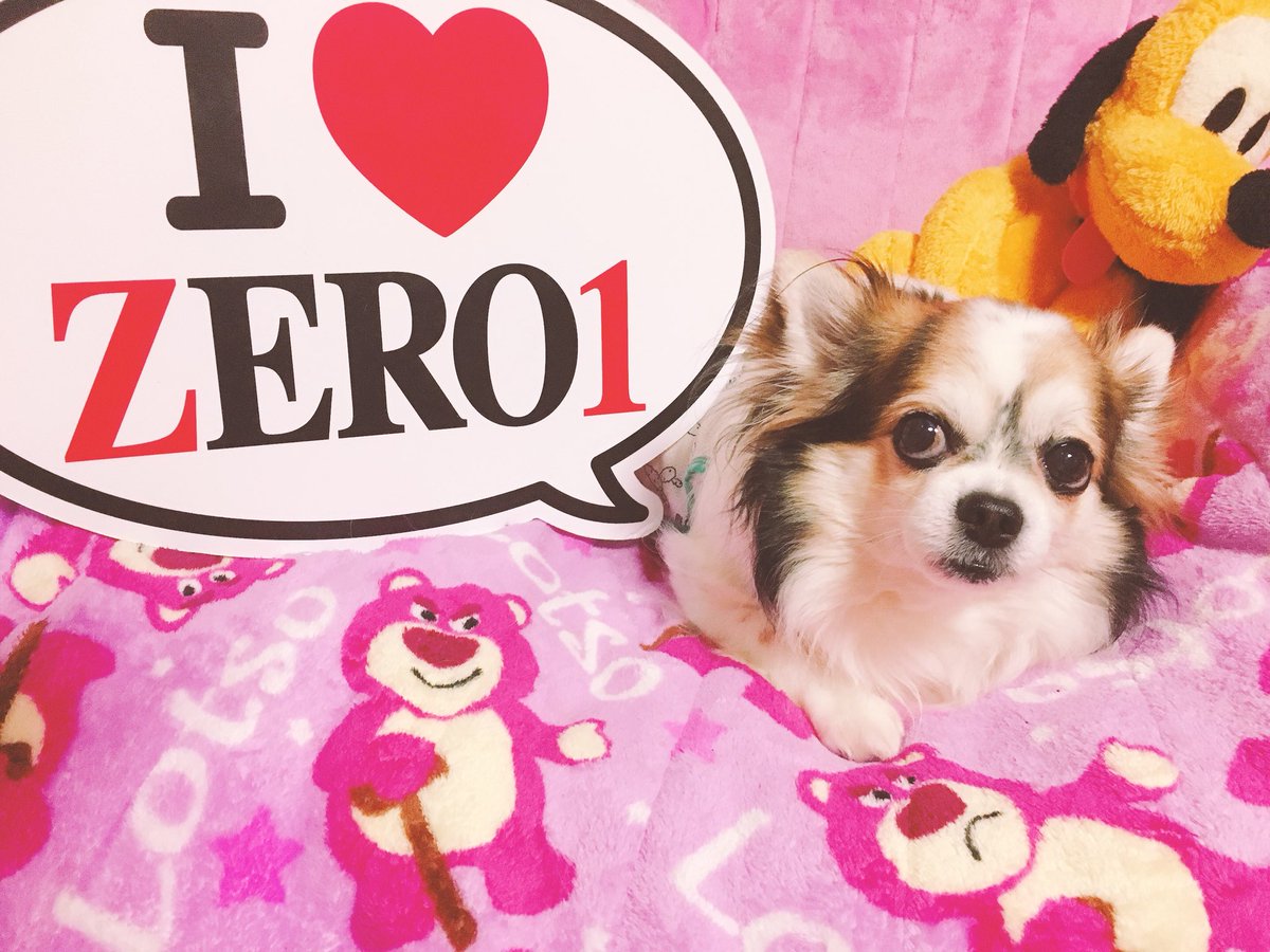 hinademama's tweet photo. I♥️ZEROワン⁇
#pwzero1
#ilovezero1 https://t.co/VQjuPysgvc
