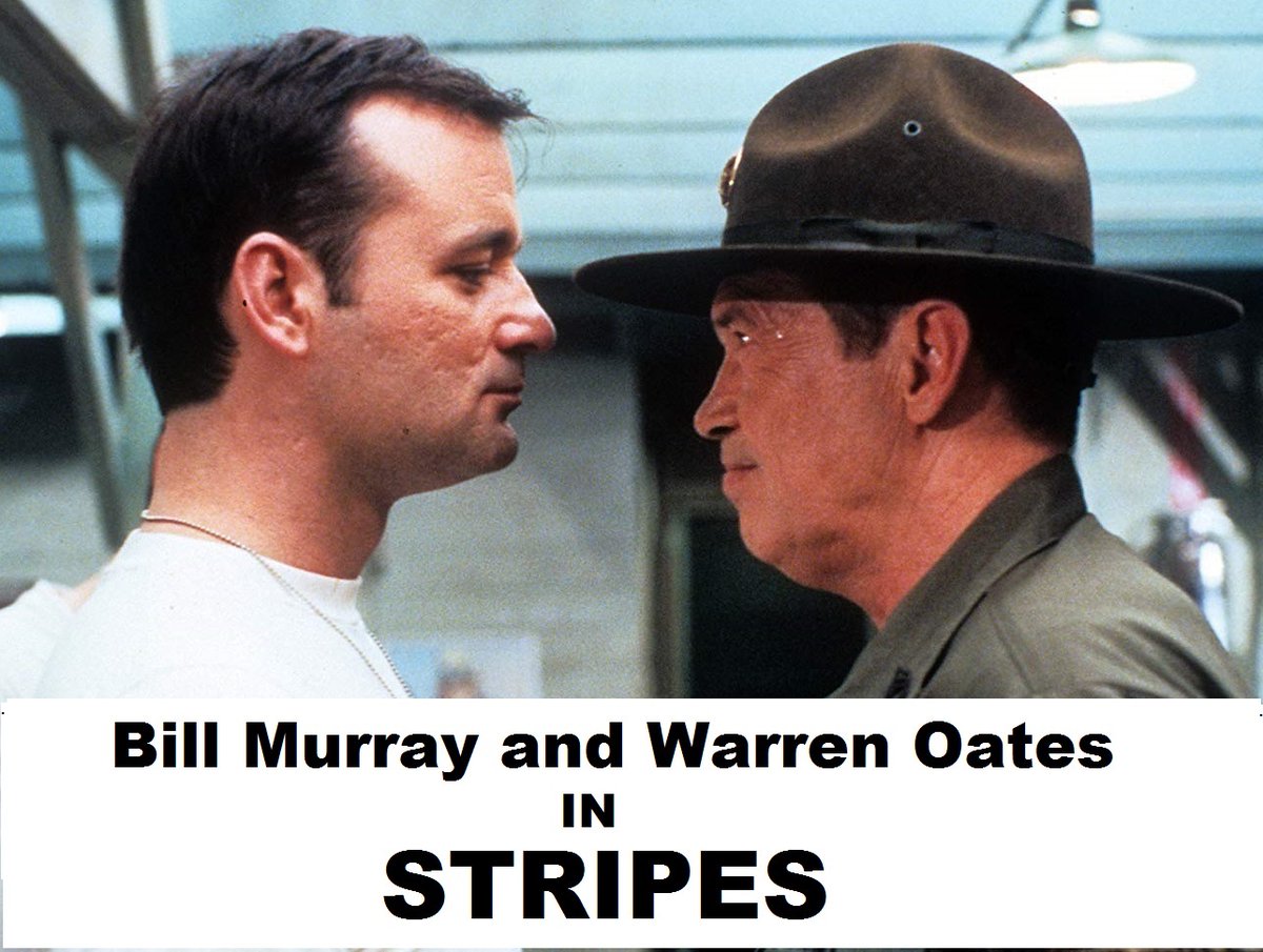 spacewoman reporter tweet media