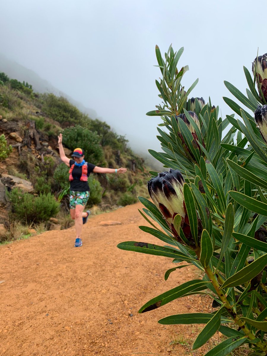 HG_Richardson's tweet photo. Today’s #gone2gone 21km mountain run (plus a few extra kays due to accidental detours) – a cool route mapped out by outdoor store Gone for people to take on any time over July (this is how races work now).

Damp and misty, but still loads of fun. 🙌 #CapeTown https://t.co/36DzBOkGPg