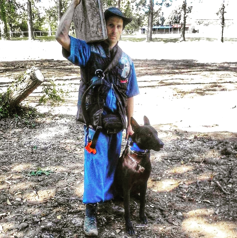 IvanMazar's tweet photo. Long time ago.... KNPV STYLE
.
.
.
#knpv #blackmalinois https://t.co/7L0lS3zPE6