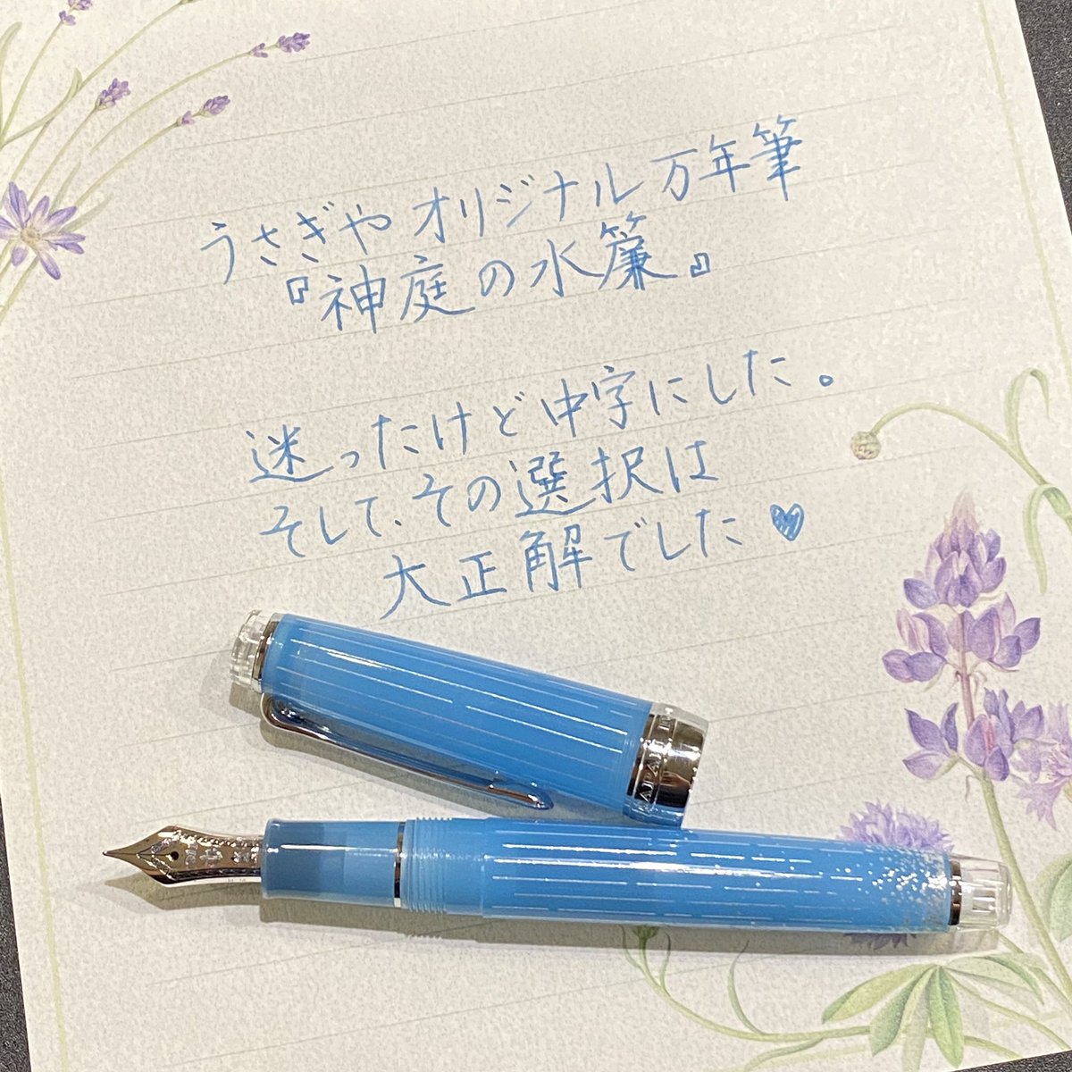 うさぎやオリジナル万年筆 神庭水簾 F 【公式通販】