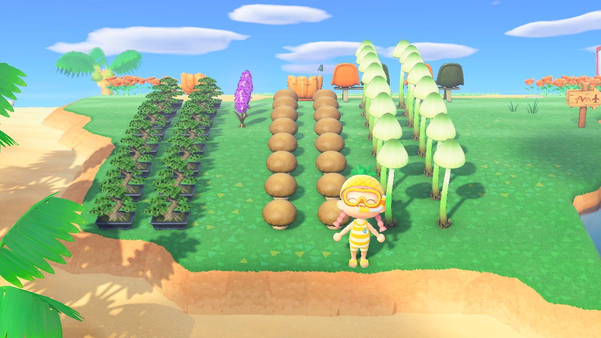cabidinger's tweet photo. #AnimalCrossing #ACNH #NintendoSwitch https://t.co/nx9gwWV0uH