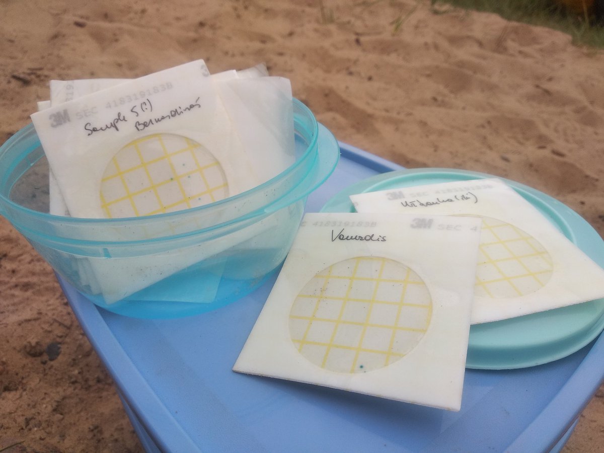 Seplute's tweet photo. Bacterial results are starting to come in!! 😱

#DrinkableRivers #CitizenScience https://t.co/F1eULZ4e1m