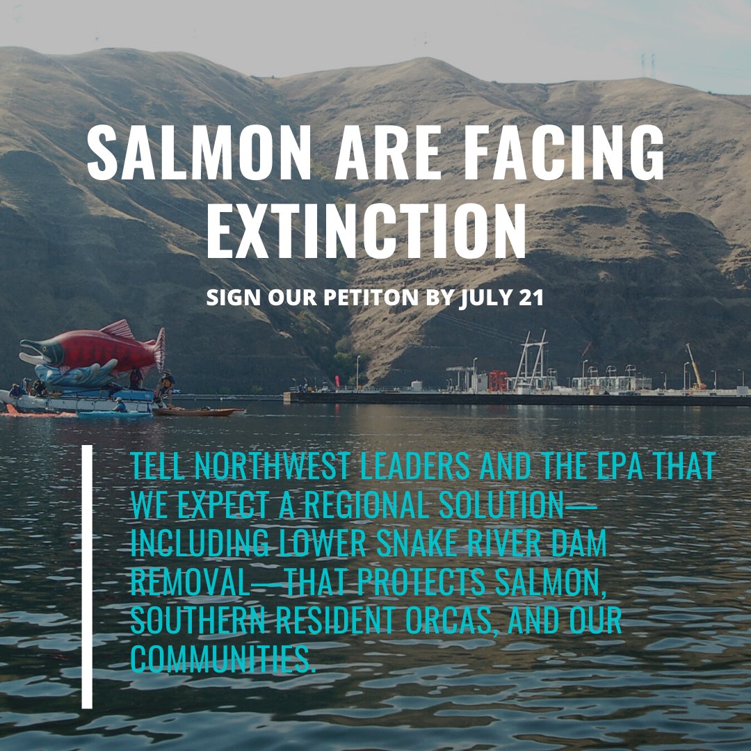 ColumbiaRKeeper's tweet photo. Dams are the main cause of water temp. problems. Tell NW leaders &amp; the @EPA that we expect a regional solution—including Lower Snake River dam removal—that protects river ecosystems and communities. Sign the petition before 7/21 

https://t.co/MtjZEvkzhZ https://t.co/HuohYgbUFn