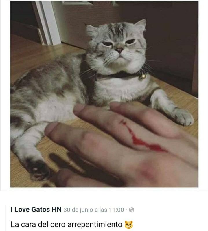 user_unk00's tweet image. Y si quieres más, me avisas.