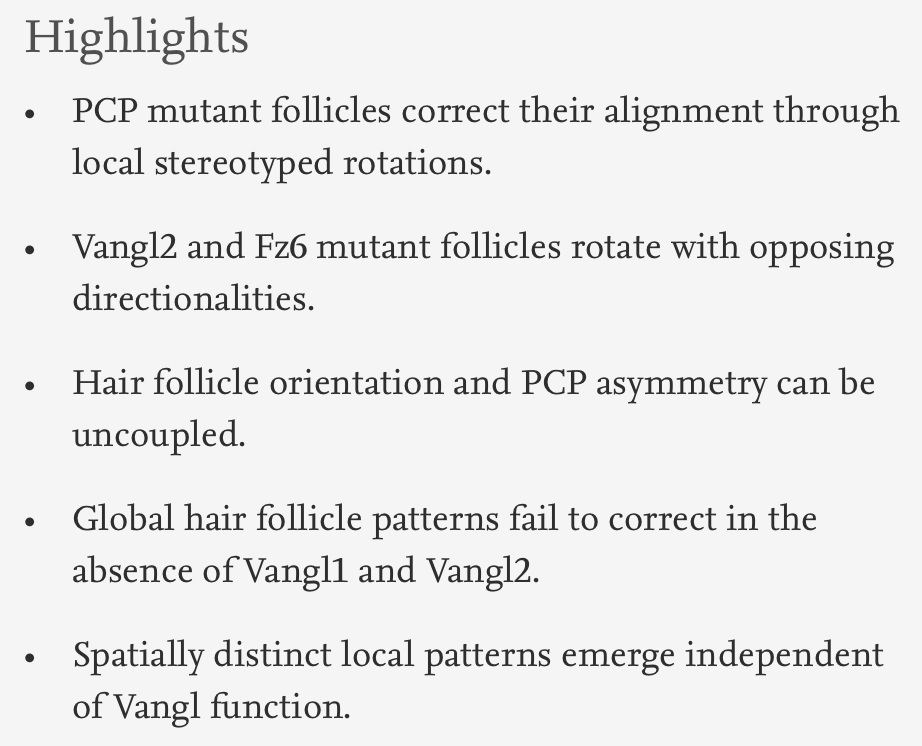 Dev_Bio_Journal's tweet photo. #DBteaser #DBfeatures #DevBio #ICYMI
"Planar Cell Polarity-Dependent and Independent Functions in the Emergence of Tissue-Scale Hair Follicle Patterns" by Maureen Cetera, @lleybova, Danelle Davenport et al (2017).
Read it here -> https://t.co/1tgtbEzHwk https://t.co/cR4KN83lRF