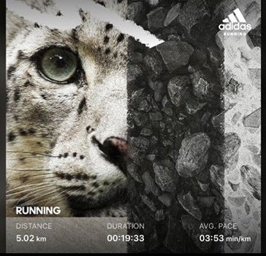 mynextrace's tweet photo. Contest alert! Great opportunity to stay fit and have fun this month....
#runnerswanted #contestalert #endurancesports #generationactive #prizealert #winstuff #runnershelpingrunners #mynextraceisbymyself #isolationrun #myisolationrun #contestforrunners #ContestAlert https://t.co/MYJzuZWTBz