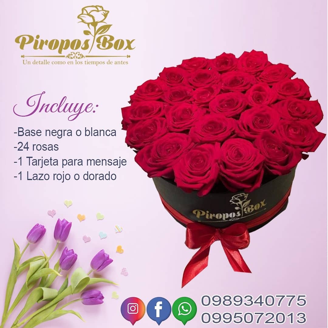 BoxPiropos tweet picture