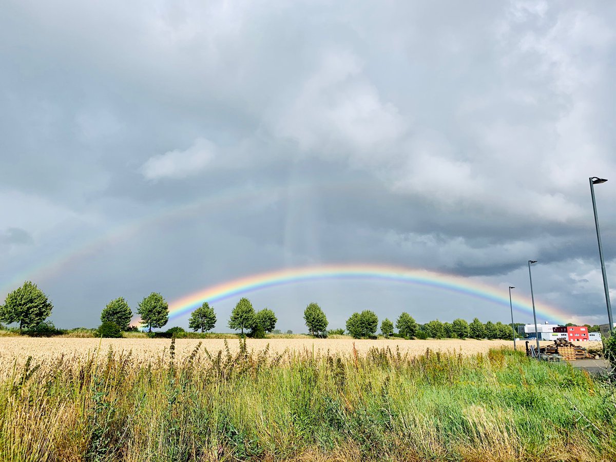 🌈🌈🌈 in Cologne