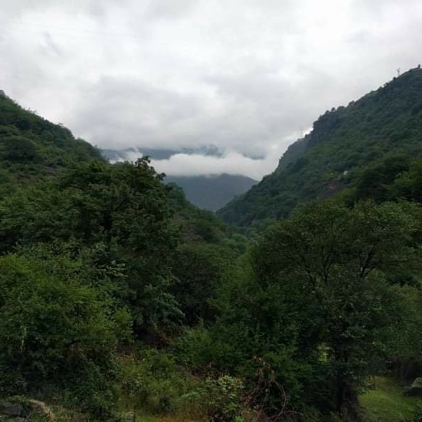 OriginTour_AM's tweet photo. Lori region- the foggy beauty.

#armenia #lori #nature #travel #travelphotography #origintour https://t.co/tdMPZRWSrN