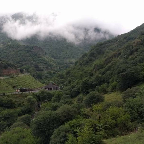 OriginTour_AM's tweet photo. Lori region- the foggy beauty.

#armenia #lori #nature #travel #travelphotography #origintour https://t.co/tdMPZRWSrN