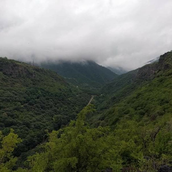 OriginTour_AM's tweet photo. Lori region- the foggy beauty.

#armenia #lori #nature #travel #travelphotography #origintour https://t.co/tdMPZRWSrN