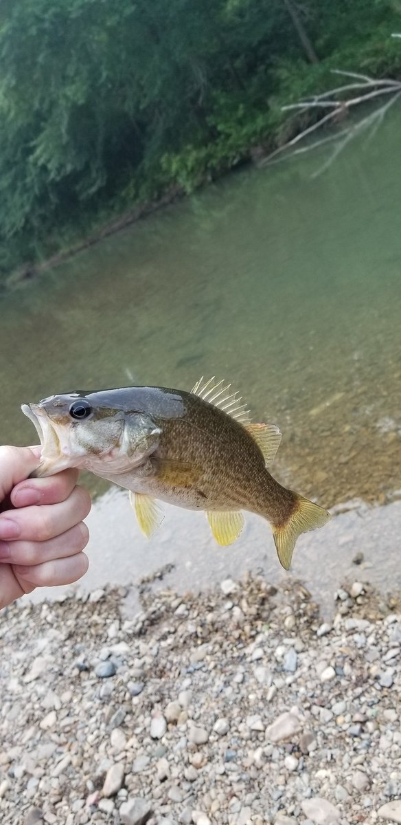 How3llJ's tweet photo. Damn I've missed fishing https://t.co/NxrGJeEKat