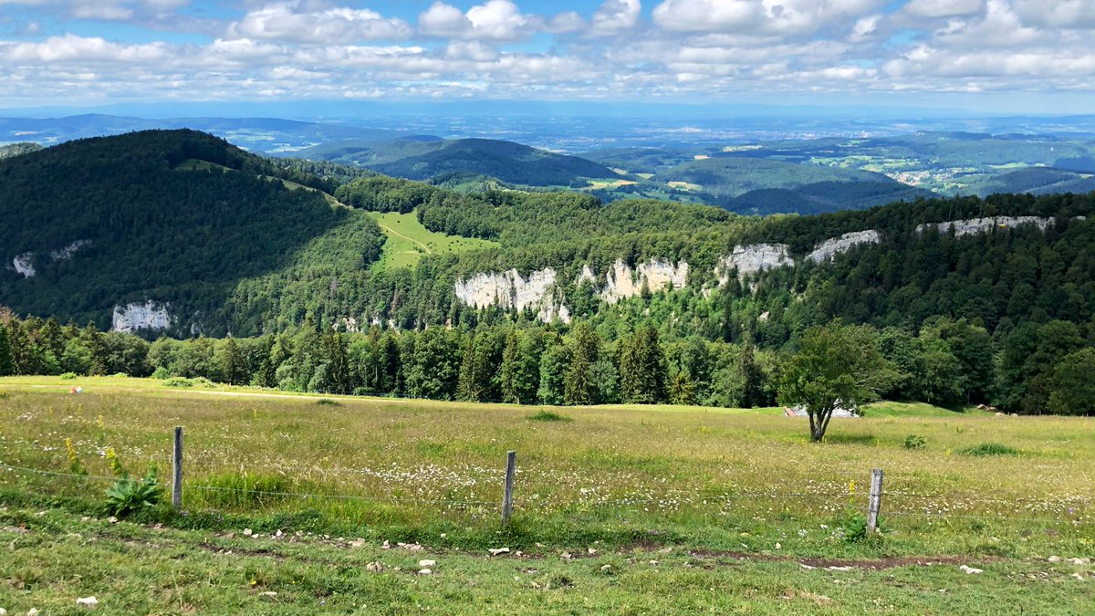 AndreasWiede's tweet photo. #Weekend: yet another hike in the🇨🇭#Jura hills. Magnificent views, reaching as far as the #Jungfrau region in the Bernese Alps. #Passwang https://t.co/Ej87UmSrqH