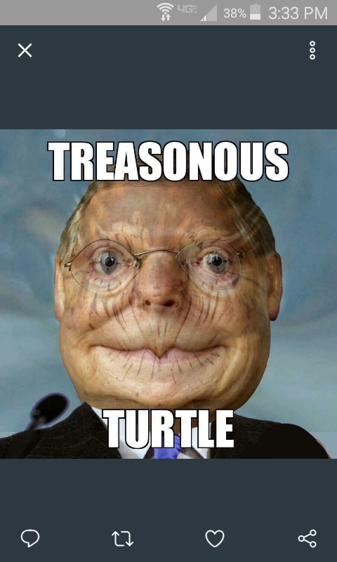 Chewythewookie1's tweet photo. @thomaskaine5 Dont forget the #TreasonousTurtle https://t.co/eJKQgQ1Ix4
