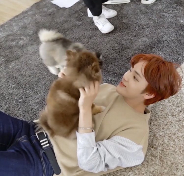 morning cuddles with him and yourpuppy.