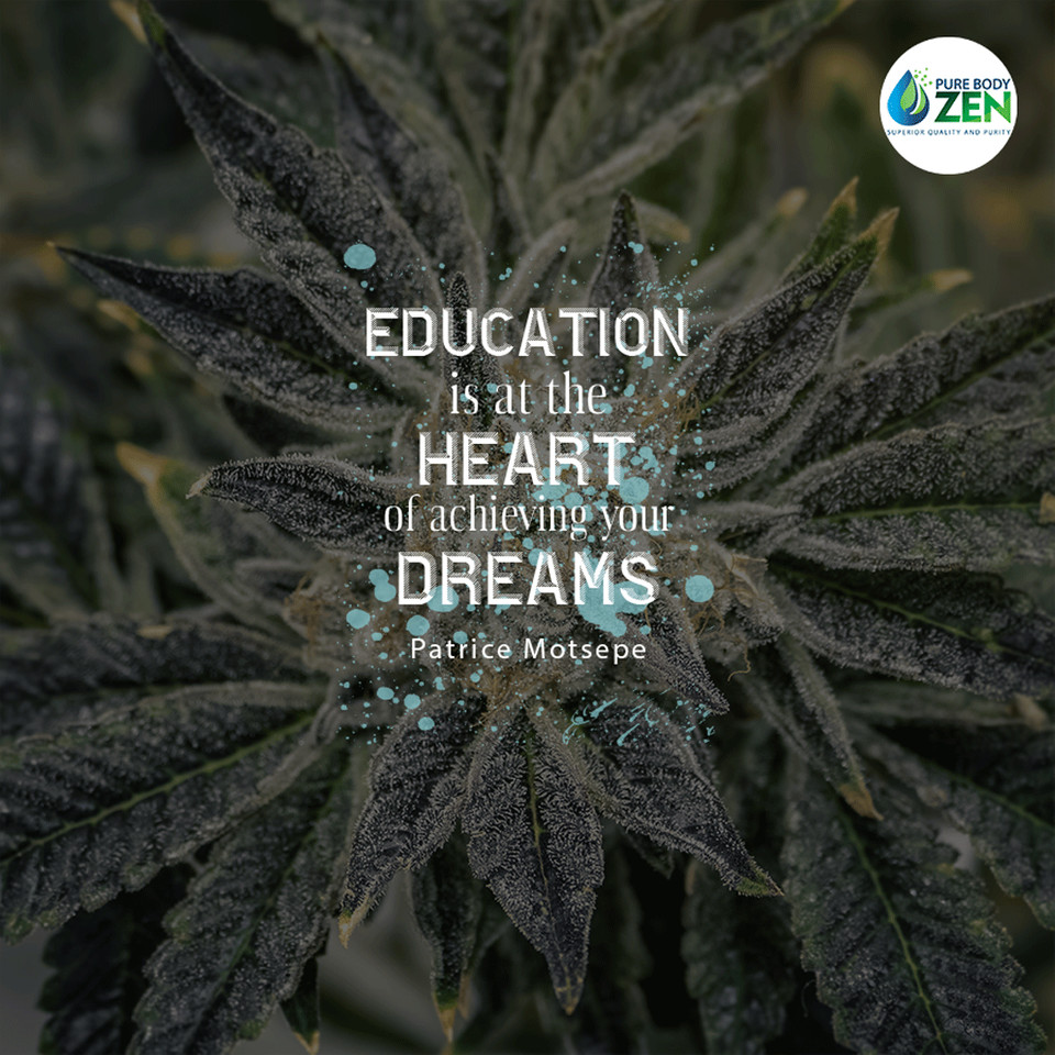 We are always here to help you understand the benefits of CBD. #education #learning #CBD #quote #quotes #quotesaboutlife #lifequotes #meme #memes #cbd #cbdoil #cannabiscommunity #cannabis #love #wellnessquotes #strength #mentalhealth #holisticwellness #holistic