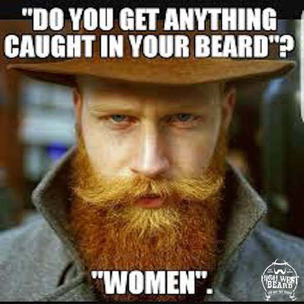 Beard Lovers Unite (@live_bearded) on Twitter photo 