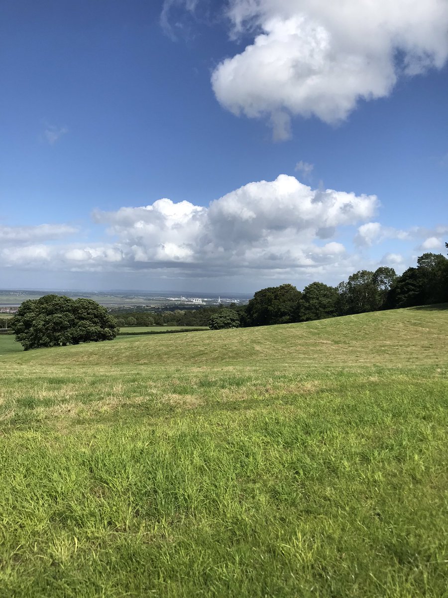 utopiajest's tweet photo. We are so blessed in our stunning corner of Wales and we’re looking forward to welcoming our visitors back #naturetherapy #halkyncastlewood @HalkynWood https://t.co/W5yhfcwbPv