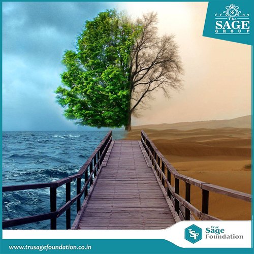 TrueSFoundation's tweet photo. असंतुलित हो रही है प्रकृति
थम रही है अपनी प्रगति || 
#SaveTrees #SaveNature

True Sage Foundation is on the mission to Save Mother Earth, Join hands with us. Share your planting story or a picture of your garden with hashtag #SaveWaterWithSage https://t.co/HoefhZpNbk