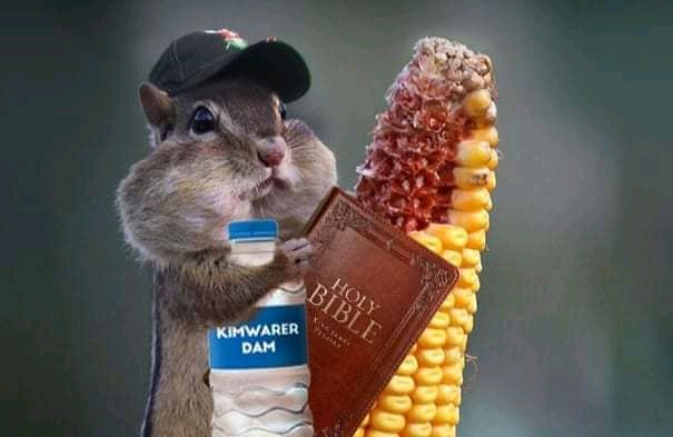 Mwana Harakati tweet media