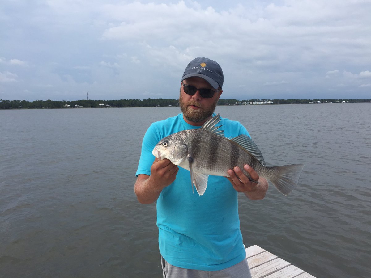angler_on's tweet photo. Productive day fishing in the lagoon, yesterday. Trout, Redfish and Black drum courtesy of @T_Hef85 and Jessy. #Fishinland @angler_on https://t.co/nNnz3C7aMP