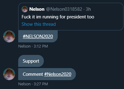 Gimmick5News's tweet photo. This just in! @Nelson0318582, another big name in the gimmick community, has just announced in DMS that he is also running for president using the hashtag #Nelson2020 as the campaign. Who do you support? @Fatyoshi420, @baboon0202919 or @Nelson0318582? https://t.co/dbsMh1BIBU
