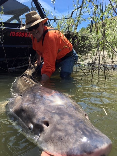 HammerRiver's tweet photo. Up close and personal with a prehistoric dinosaur! Sturgeon Fishing is the trip of lifetime! #hammerdown #hdriverexcursions #sturgeonfishing #getoutside #seewhatsoutthere #sturgeon @guidefitter https://t.co/bbSCs0Z2gb