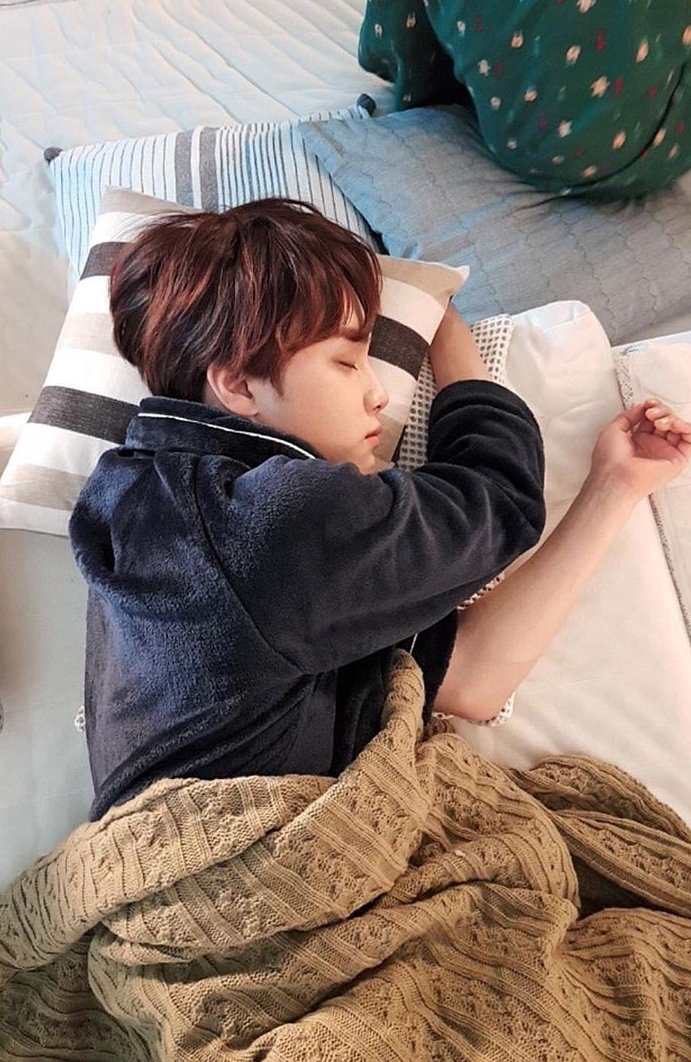 Loves to spend time at home with you playing games, watching movies, and napping together.