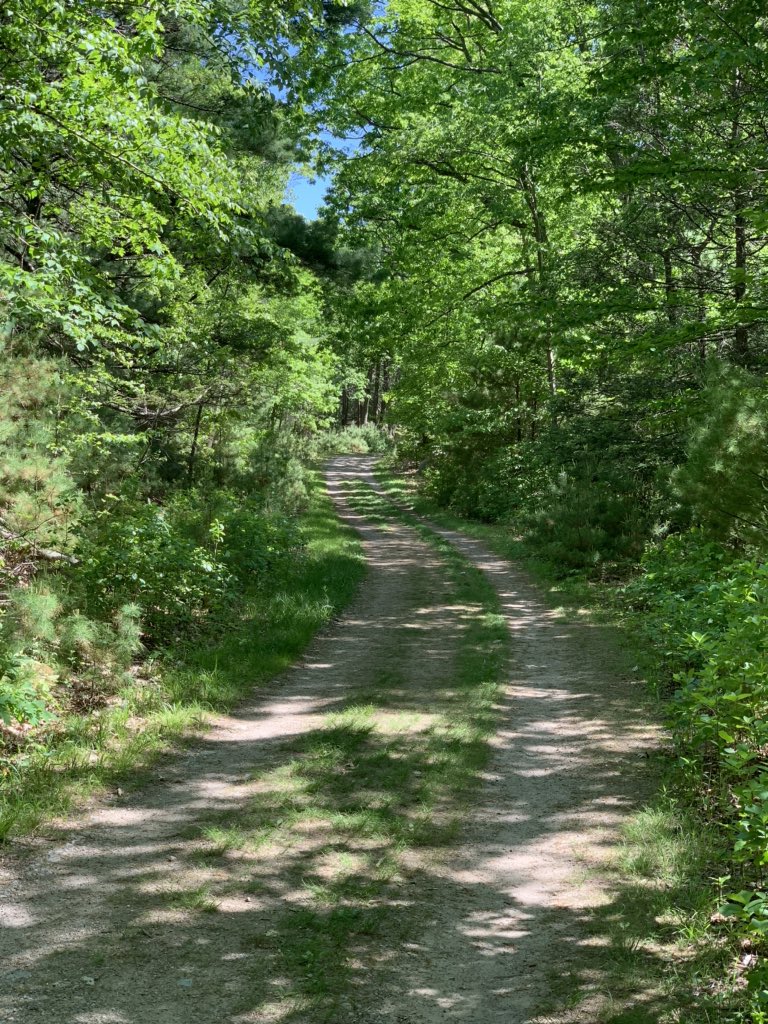 CharlieBakerMA's tweet photo. Went for a walk in the Lynn Woods.  Beautiful. Many thanks to @LynnCityHall #lynnwoods https://t.co/O8tUCPni4J