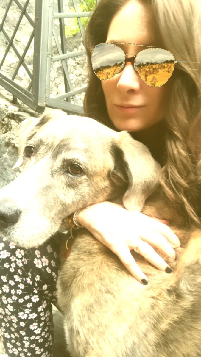 #AdoptaNoCompres 
Un perrito adoptado, en agradecimiento a que le das casa, te da un hogar lleno de amor y lealtad. #AmorDelBueno #AmorIncondicional