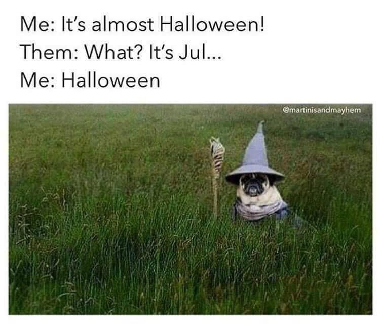 CuriousOddlings's tweet photo. Yes!!! 🦇 https://t.co/JbDRX7zXFL