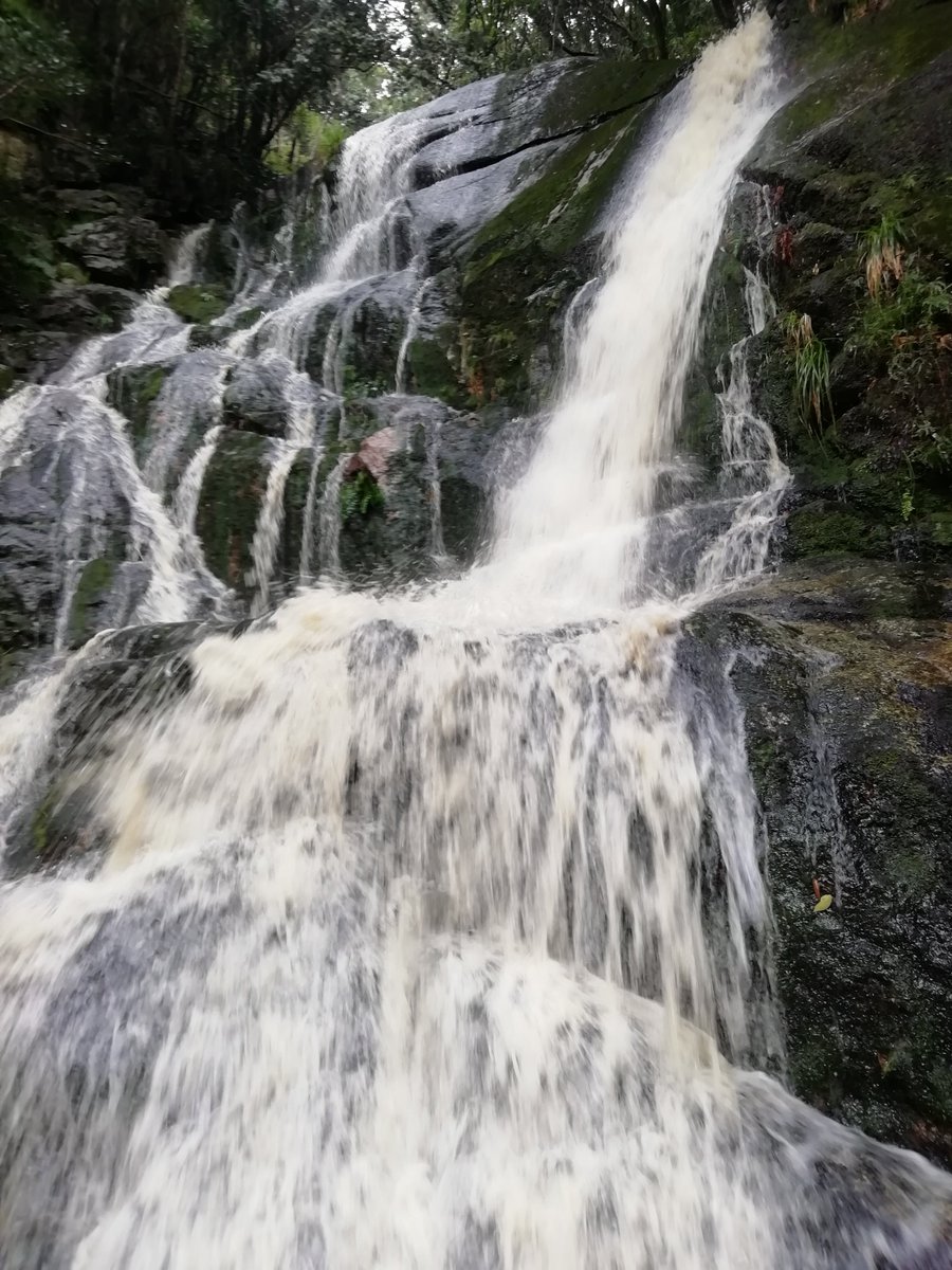 Coach Dion tweet media