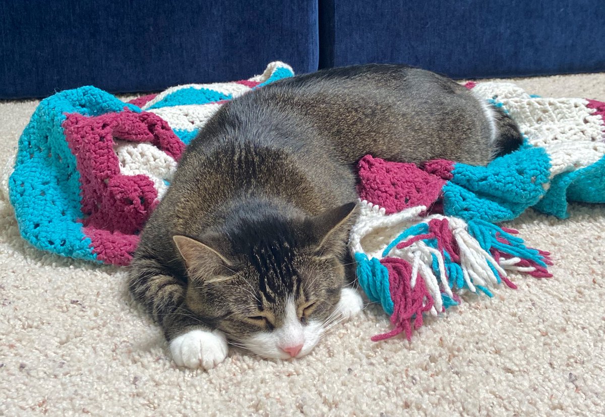 CokeZeroCat's tweet photo. ,    ,   ., https://t.co/4Rc4qtbsxG