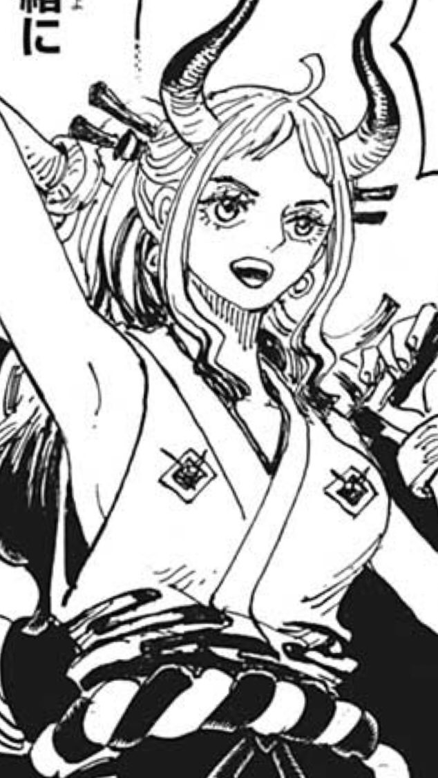 ワンピースヤマトの年齢や身長を考察 プロフィールをまとめてみた やあ 僕の漫画日記