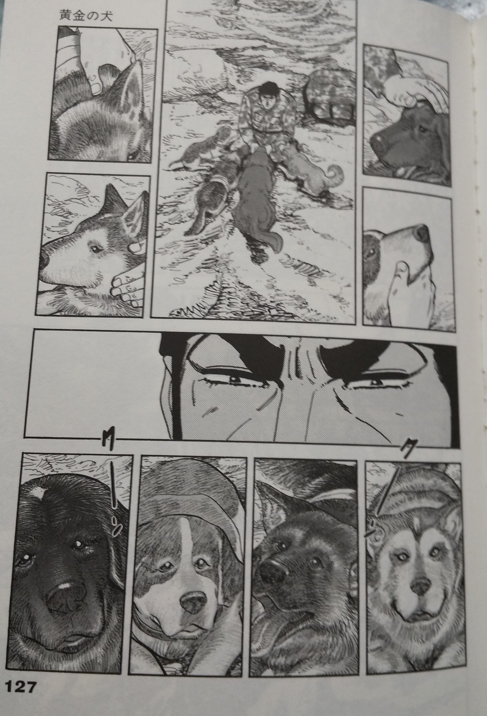 Tomoya 13 ゴルゴ13の197巻 寡黙なパートナー 泣いてしまった ゴルゴ 犬には優しい ゴルゴ13 T Co Lif4b3gns6 Twitter