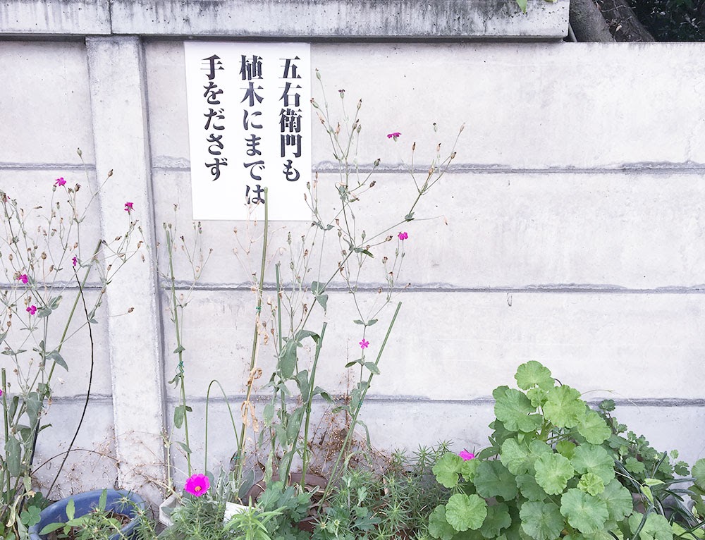 荒川区で見つけた変わった張り紙 