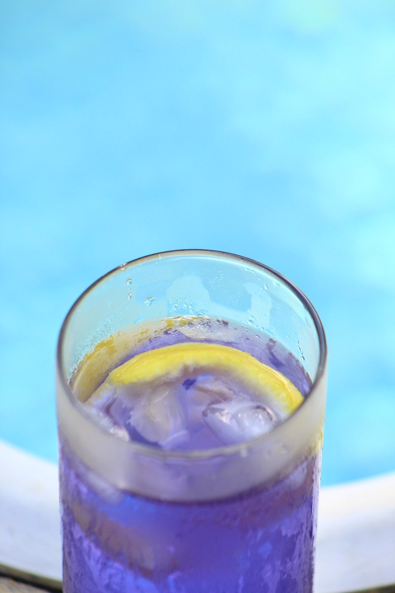 PulledPorkFanNJ's tweet photo. Butterfly pea flower tea by the pool. #TeaTime https://t.co/IEGn1lk5DY