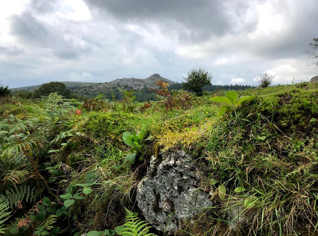 What’s it like to work as a clinician-scientist – in clinical practice, the academic sector, or in industry? Join us this summer and develop your skills for a successful career as a research-literate clinician, research collaborator, principal investigator, or entrepreneur.