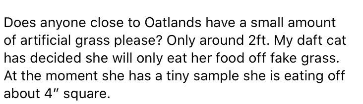 This is my local FB poster experience 🙄😂 endlessly entertaining #HowTheOtherHalfLive #CatsOfTwitter