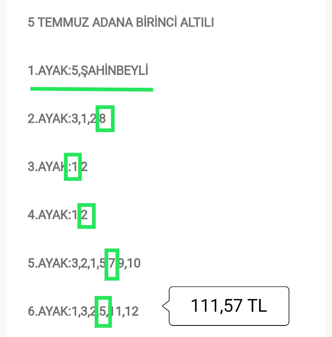 BUGÜN İSTANBUL VE ADANA BİRİNCİ ALTILI TAHMİNLERİ İSABETLİ OLDU.
