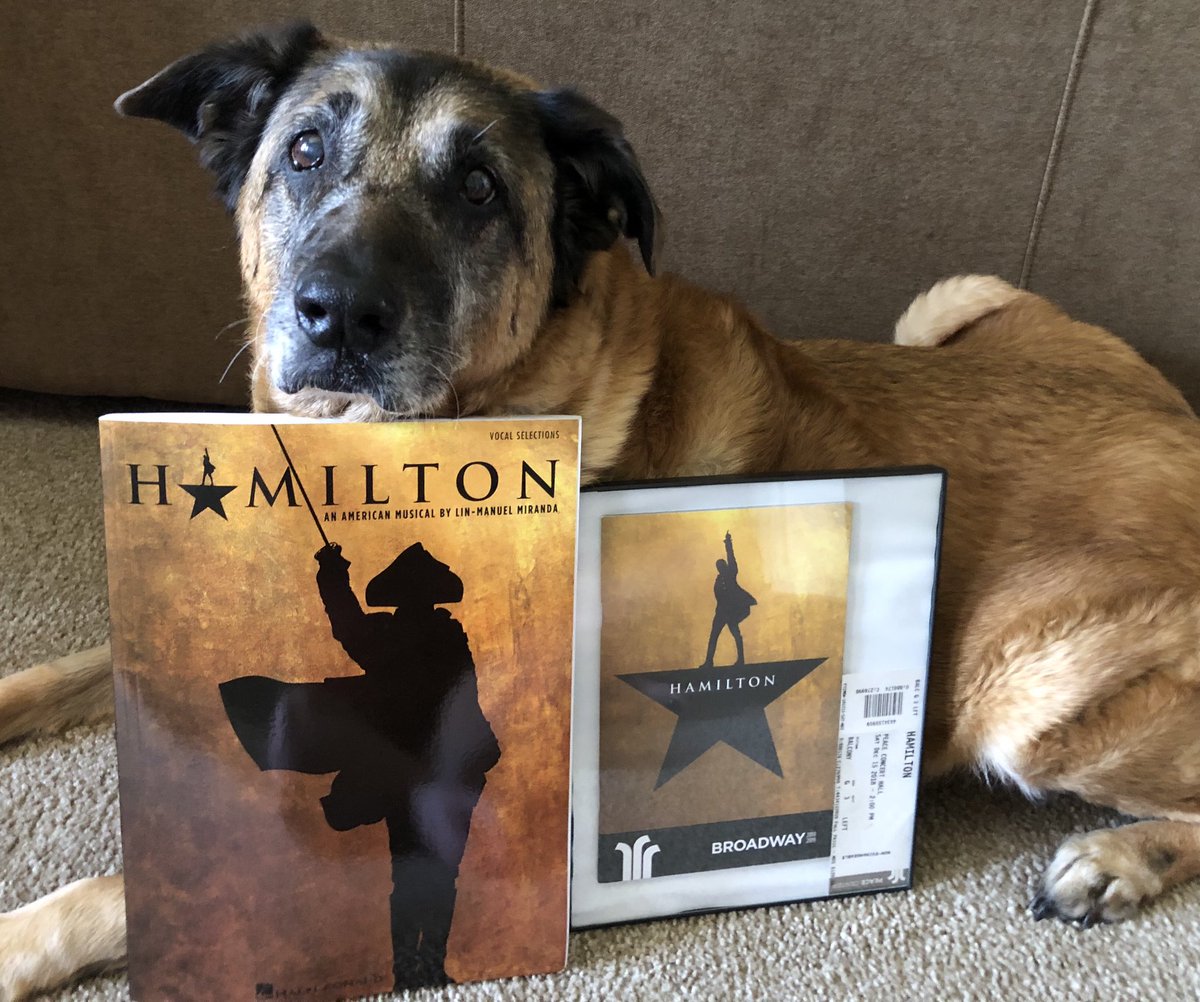 dmaspell's tweet photo. Bailey dog enjoyed her first Hamilton viewing #hamildog @Lin_Manuel @DaveedDiggs @leslieodomjr @ChrisisSingin @Phillipasoo @HamiltonMusical https://t.co/69XY1Hcoki