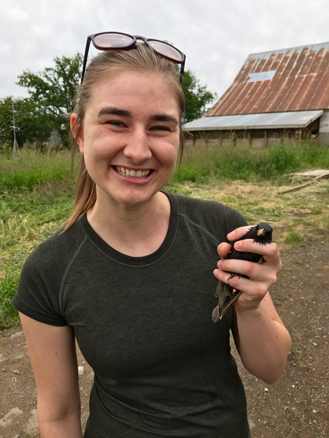 SFUBioSci's tweet image. Jo Enns is a queer MSc student studying evolutionary ecology in the Williams lab! Her project looks into the biparental care behaviour of the European starling. When she isn’t bothering birds, she can be found playing animal crossing or staring at her mountain of video data