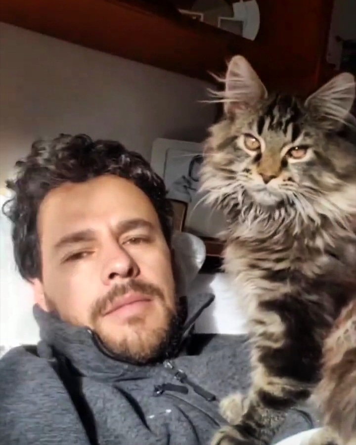 ivan_fanscol's tweet photo. Feliz Domingo felino 💛🐯🐱😻
#FelizDomingo #sundayvibes https://t.co/WFO0G9nT6v